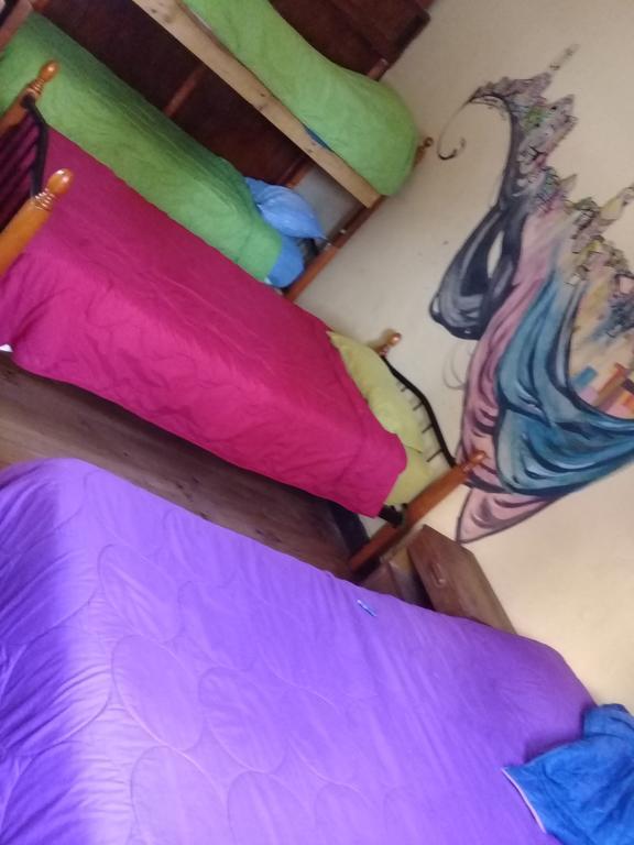 Hostal Polanco Cerro Alegre וואלפאראיסו חדר תמונה